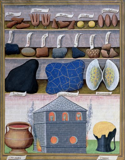 Illustration from the Book of Simple Medicines by Mattheaus Platearius 166r by Robinet Testard